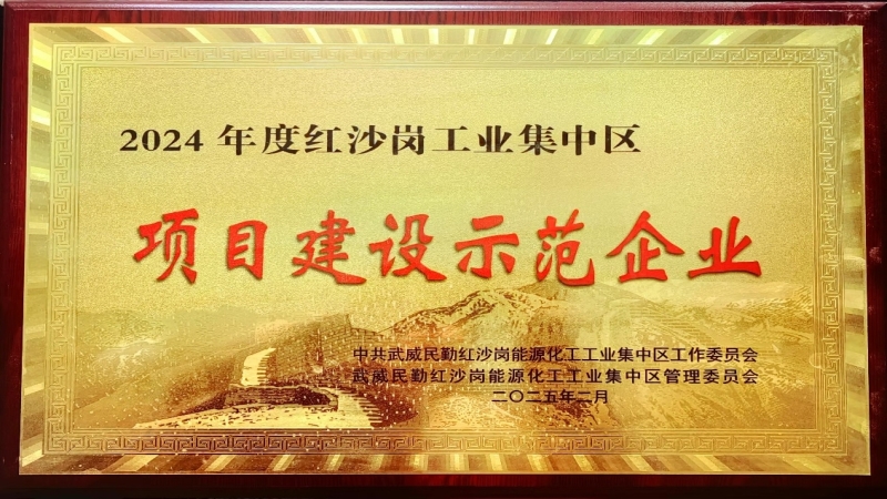 高效履約樹標桿！中機國際被評為民勤紅沙崗工業區 “2024年度項目建設示范企業”